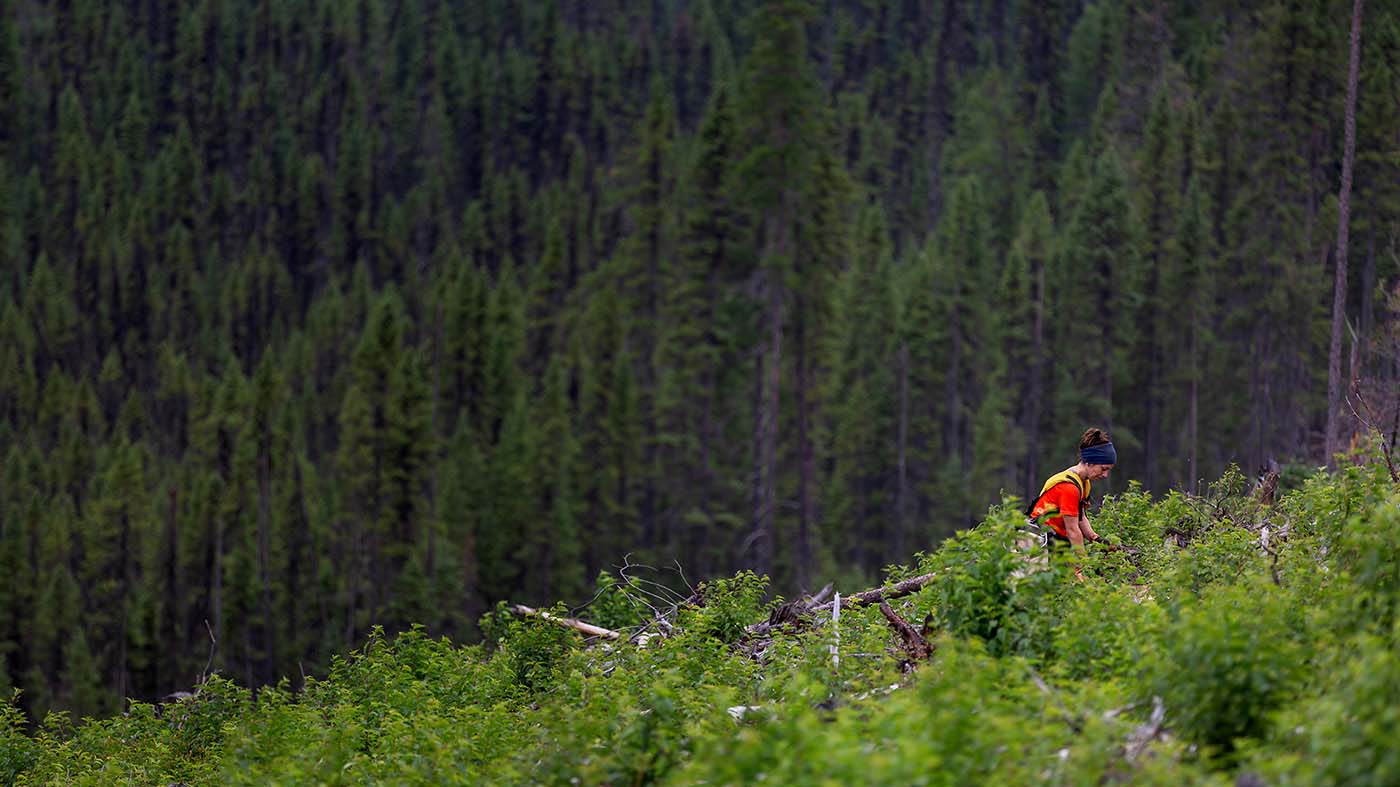 One Tree Planted partnership with Custom Patch Hats