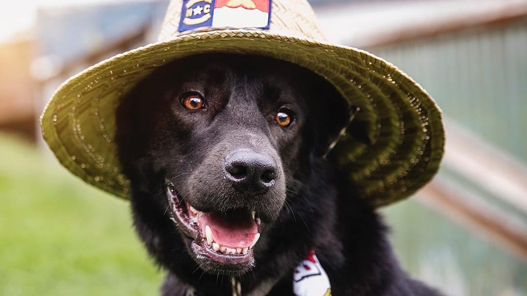 Custom Lifeguard Hat With Patch Hat