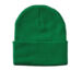 Sportsman SP12 12 Cuffed Winter Beanie - Kelly