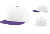 Richardson PTS30 Perforated R Flex Fitted Cap Combination White Purple