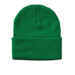 Sportsman SP12 12 Cuffed Winter Beanie - Kelly